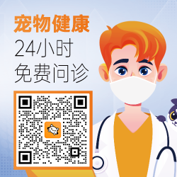  一个医生头像。