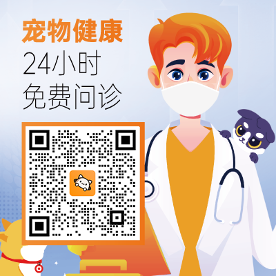 宠物看病场景,宠物医生和宠物