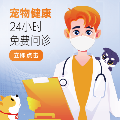 宠物看病场景，宠物医生和宠物