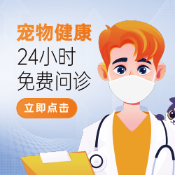 一个医生头像。