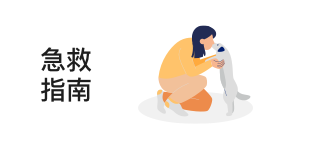 宠物美容师