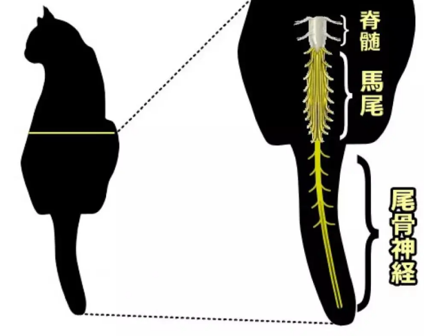 微信截图_20210610173116.png