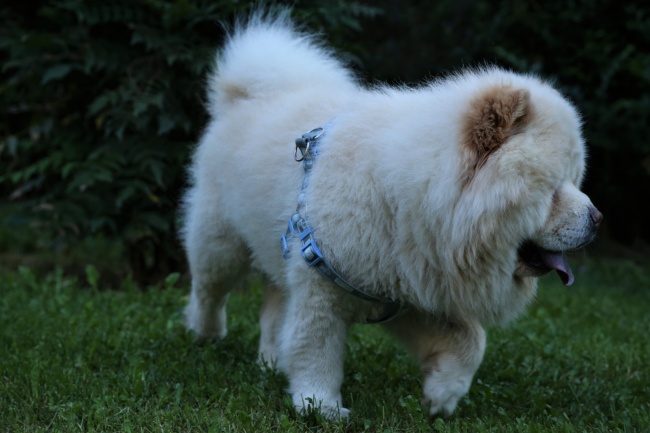 bpic21171.jpg