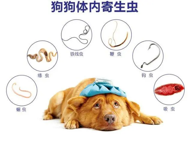 企业微信截图_16770579059405.png