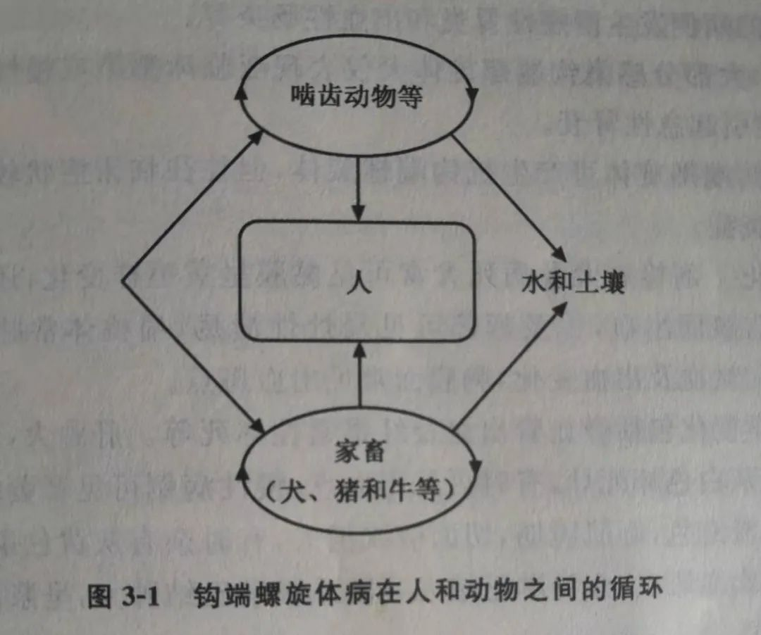 企业微信截图_16771190835272.png