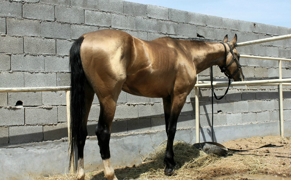 c24b-hhzsnea6628427.png