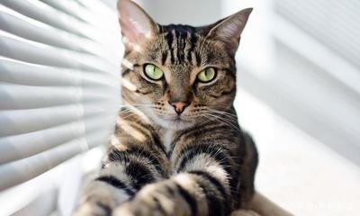 t012c7f4c07a6f8e7a1.jpg