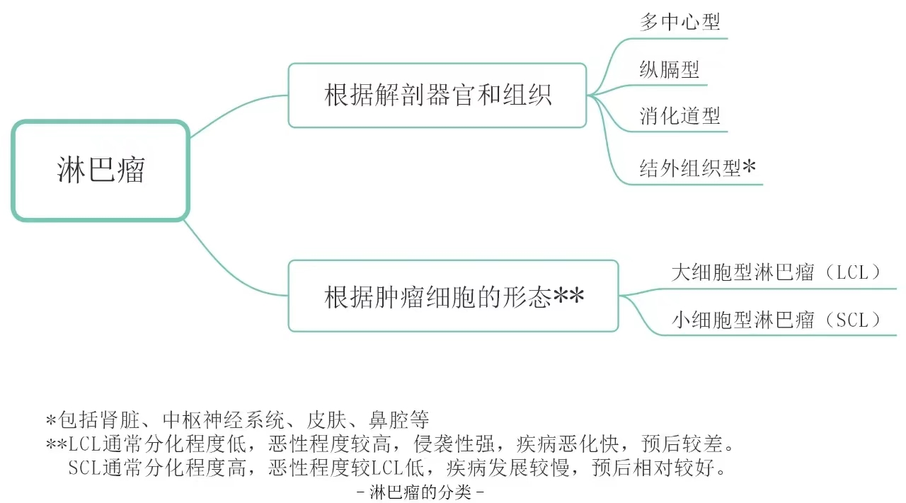 微信图片_20230602161920.jpg