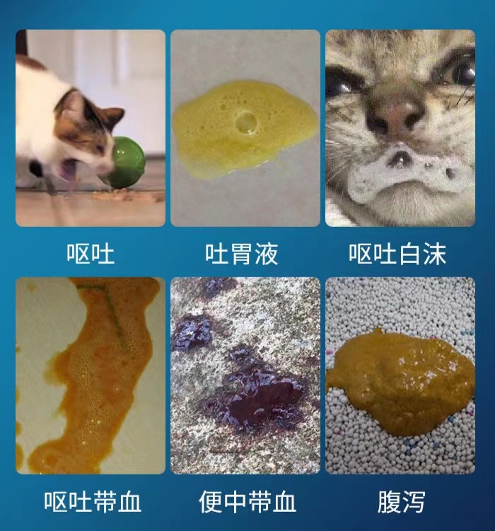 微信图片_20230615141253.jpg