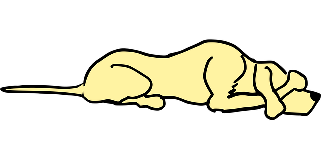 agitated-2023984_640.png