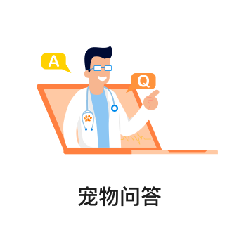 宠物培训学校