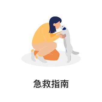 宠物医生在线咨询