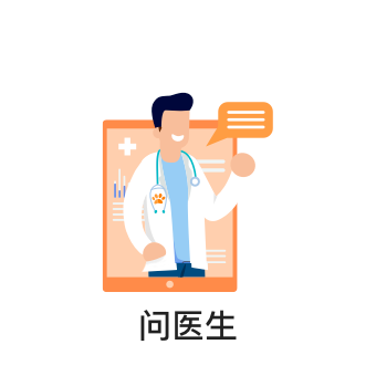 宠物猫的品种及价格